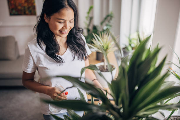 istock Woman watering plants at home 1329865073