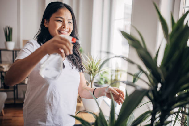 istock Woman watering plants at home 1329865155