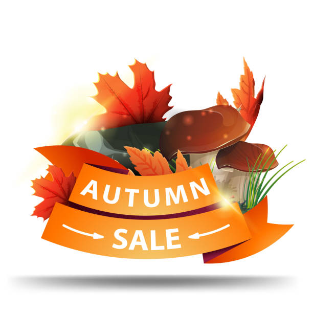 jesienna wyprzedaż, baner internetowy ze zniżkami w postaci wstążek dla twojej firmy z grzybami i jesiennymi liśćmi - 6630 stock illustrations