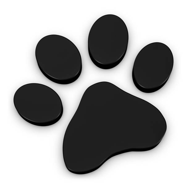 Animal Paw - Black 3D Illustration - Isolated On White Background
