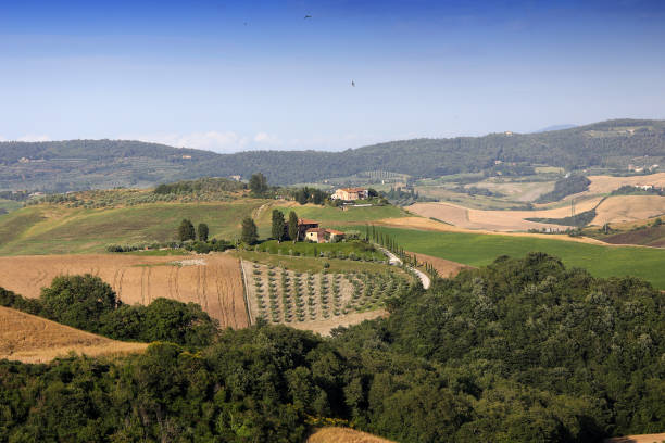 istock Crete Senesi, siena, tuscany, italy 1329870452