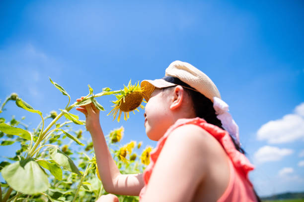 Girl playing in a sunflower field