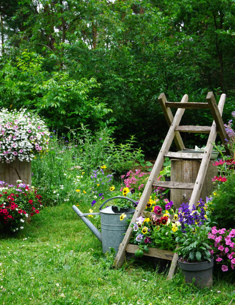 hierbas silvestres y flores de campo con hierro que regar lata. imagen de jardinería de estilo cabaña inglesa. concepto de jardinería de un jardín rural. bueno para insectos como abejas en mariposas y escalera natural de madera - horticulture butterfly plant flower fotografías e imágenes de stock