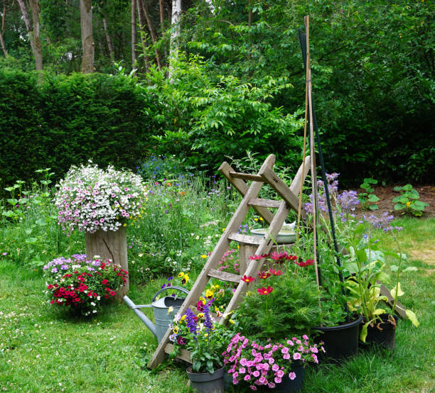 Landscaped garden with field and herb flowers. English cottage style gardening picture. Gardening concept of a rural garden. good for insects like bees en butterflies with wooden natural ladder jardín ajardinado con flores de campo y hierbas con lata de riego de hierro. imagen de jardinería de estilo cabaña inglesa. concepto de jardinería de un jardín rural. bueno para insectos como abejas en mariposas con escalera natural de madera
