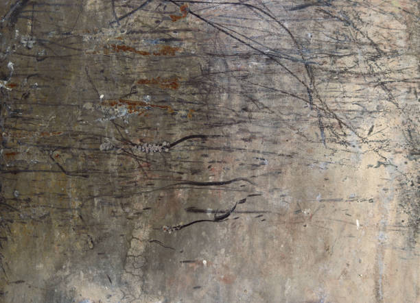 istock silver metal panel with heavily scratched surface and spots with black lines - background texture for a steam punk wallpaper 1329875141