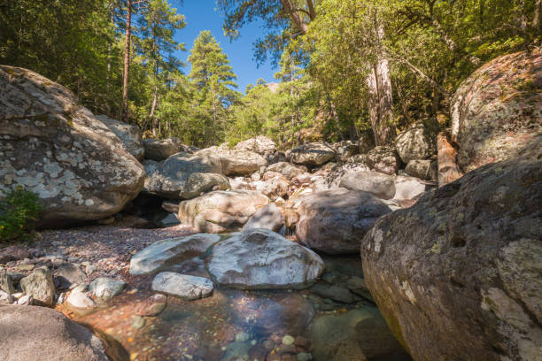 istock Tartagine river in Corsica 1329875149