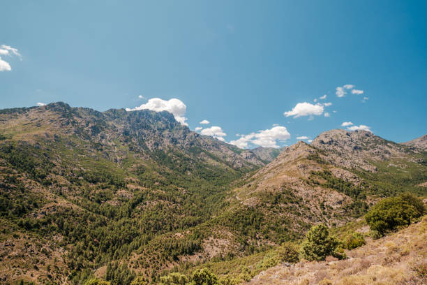 istock Tartagine valley and mountains in Corsica 1329875150