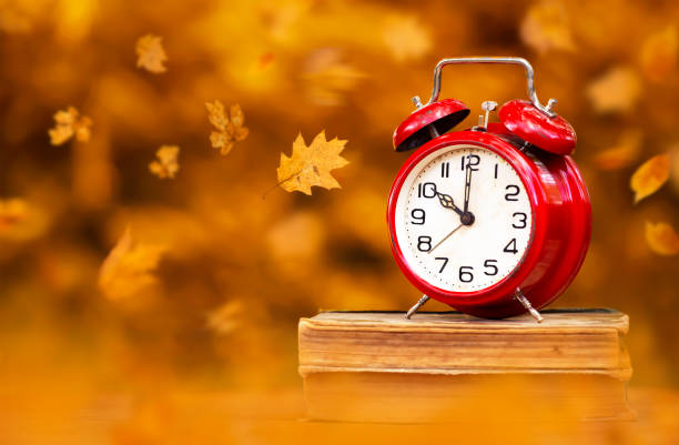 istock Clock on books with leaves, back to school in autumn background 1329878598