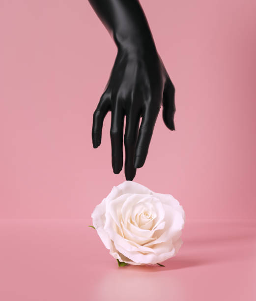 istock Black mannequin hand touching white flower isolated on pink background, 3d rendering abstract creative feminine scene, rose bud on floor. 1329881038