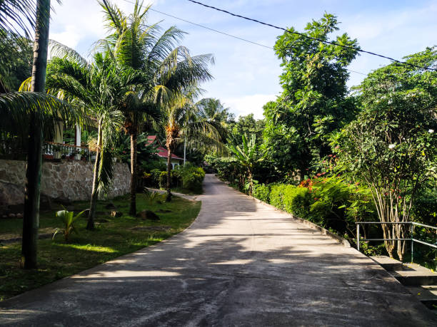 istock Road to beach from village 1329884100