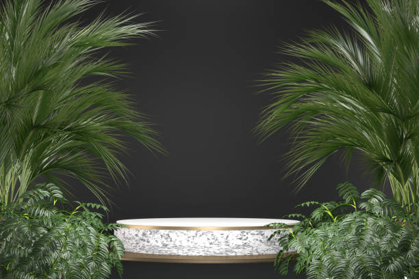 istock The Tropical granite Podium geometric and plants decoration on black background .3D rendering 1329885555