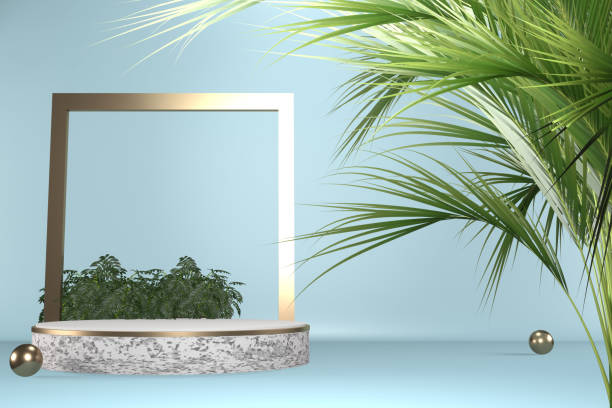 istock cyan Tropical granite Podium geometric and plants decoration on black background .3D rendering 1329885606