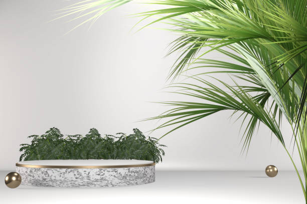 istock Tropical white Podium geometric and plants decoration on white background .3D rendering 1329885713