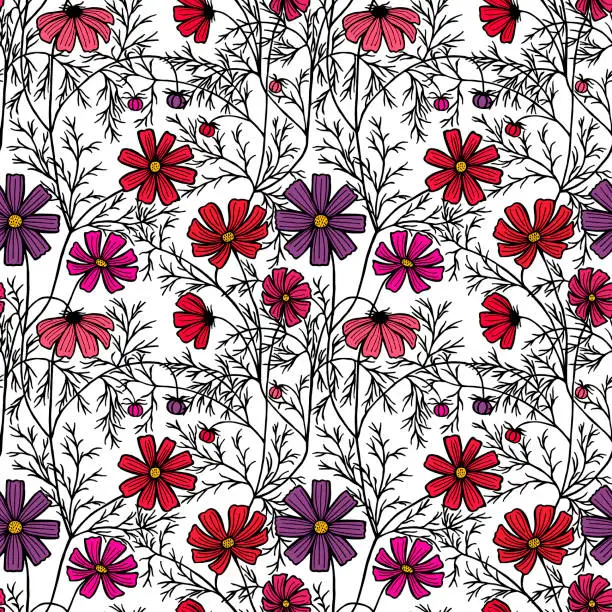 Vector illustration of vector illustration eps10 . cosmea flowers, daisy, coloring. Seamless pattern.