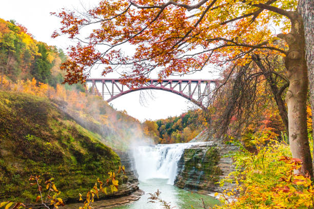 istock bridge, Autumn Leaves, Fall At Letchworth State Park 1329890714