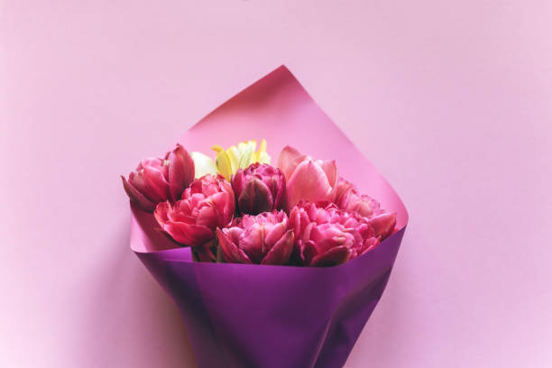 Bouquet of pink tulips on a pink background stock photo