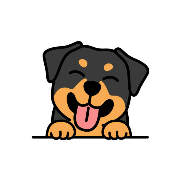 Cute rottweiler puppy smiling cartoon, vector illustration Cute rottweiler puppy smiling cartoon, vector illustration rottweiler stock illustrations