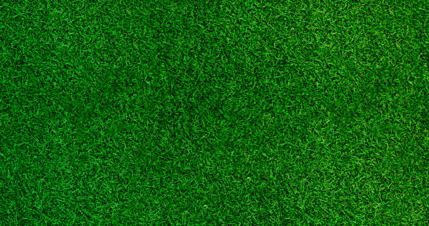 istock green and yellow background, grass texture, abstract green background, template for print and text. poster. 1329905214