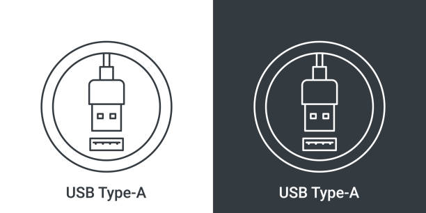 значок порта usb type a. разъем usb в штекер. разъемы usb. векторная иллюстрация - usb кабель stock illustrations