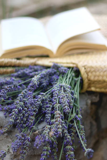 istock Straw Bag, Lavender Flowers and Open Book 1329905590