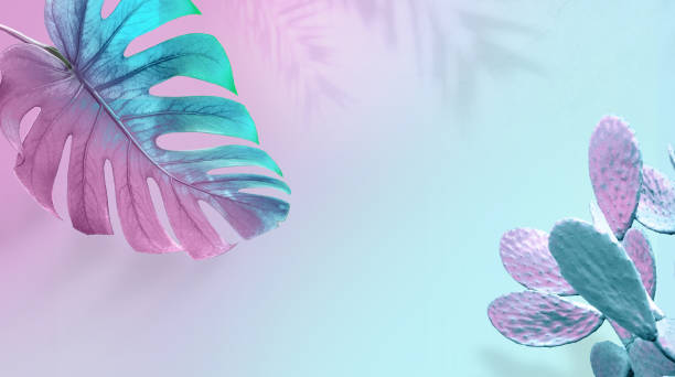 istock Tropical leaves and cactus in bright creative pink and blue colors. 1329907364