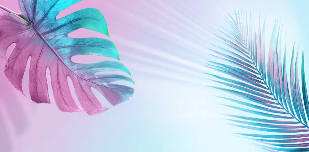 istock Tropical leaves in bright creative pink and blue colors. 1329907393