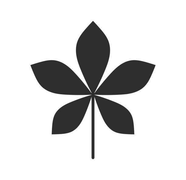 kastanienbaumblatt-symbol. - chestnut stock-grafiken, -clipart, -cartoons und -symbole