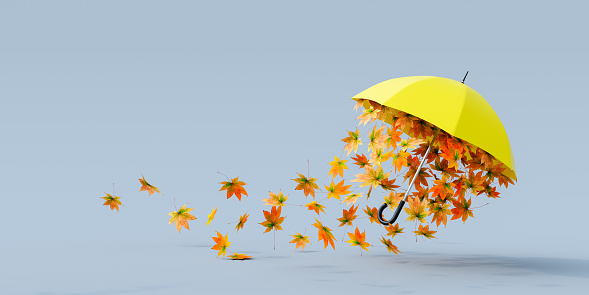 Yellow umbrella flying with colorful autumn leaves on gray background 3D Rendering, 3D Illustration