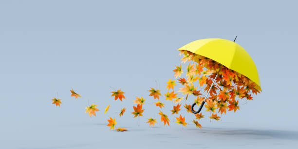Photo of Yellow umbrella flying with colorful autumn leaves on gray background