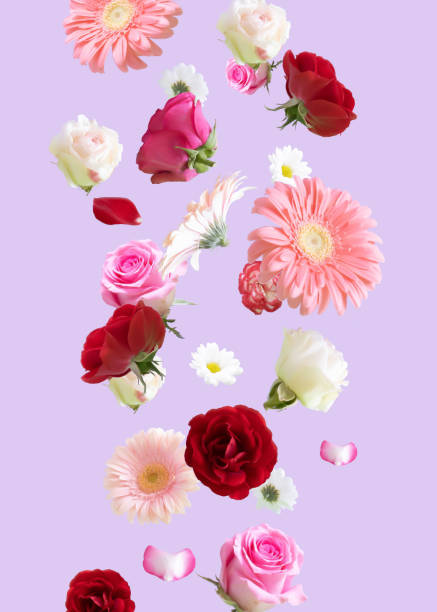 istock Minimal nature concept. Creative arrangement with various flowers against pastel purple background. 1329911274