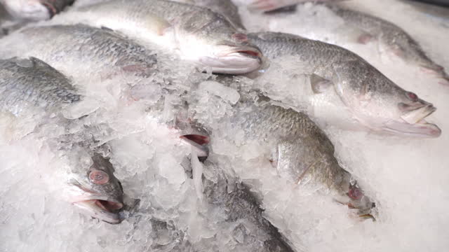 Fresh sea bass or snapper fish on ice at the fish market.