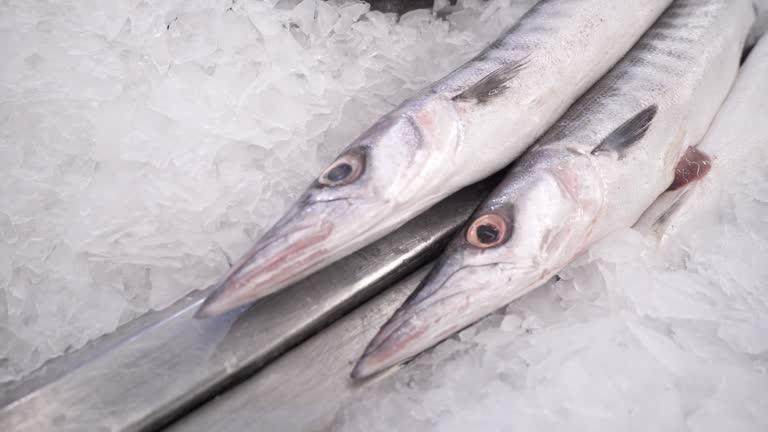 Fresh sea fish on ice at the fish market.