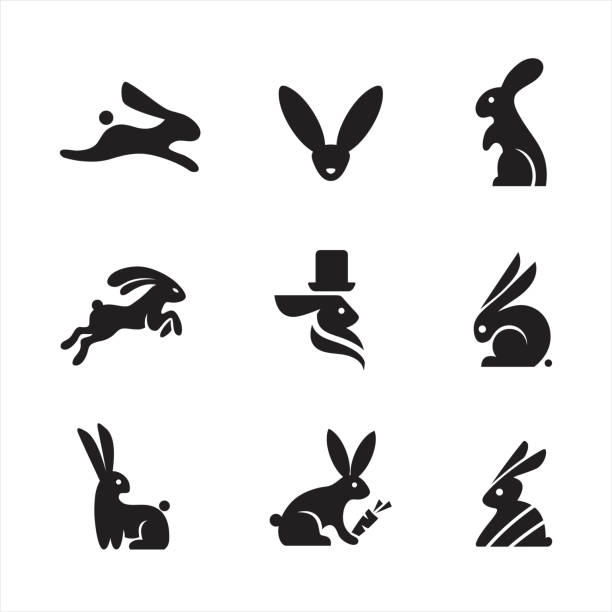 ilustrações de stock, clip art, desenhos animados e ícones de rabbit icons - rabbit vector black composition
