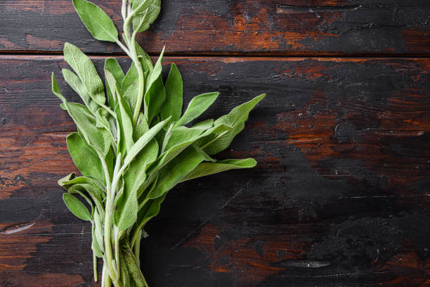 istock Sage on dark old wooden table top view space for text. 1329914664