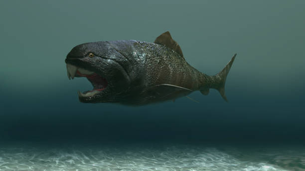 istock 3d illustration of a dunkleosteus fish 1329917223