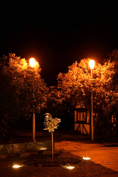 istock Night landscape. The trees are lit by lanterns. 1329918374