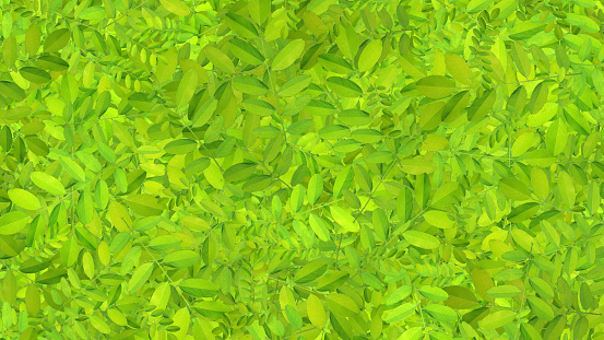 Random Scattered Leaves Background - Green - photograph