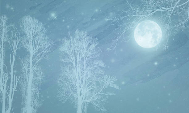 istock Fairy-tale Sky with White Tree Silhouettes,  Full Moon, Stars - Atmospheric Mood 1329923379
