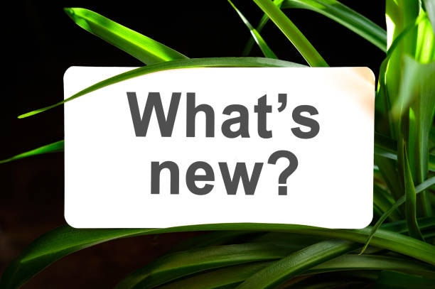 istock What's new text on white surrounded by green leaves 1329924114