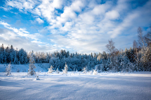 istock Snow landscape in Sweden 1329924398