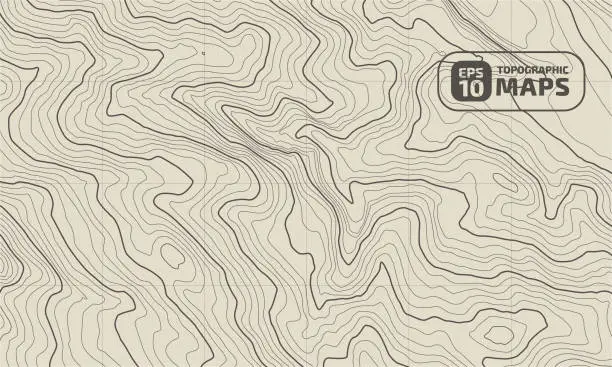 Vector illustration of The stylized height of the topographic map in contours and lines