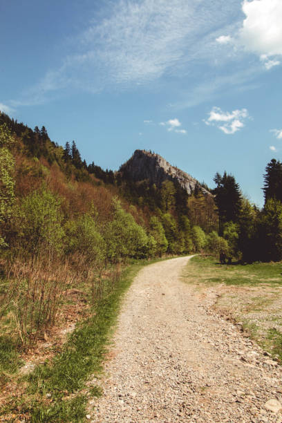 istock Lespezi Cliff - Rachitele Romania 1329928302