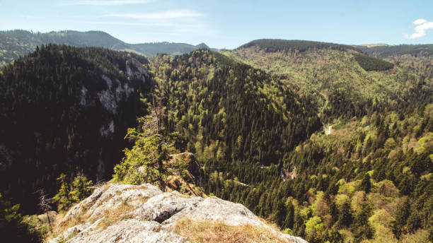 istock Lespezi Cliff - Rachitele Romania 1329928372