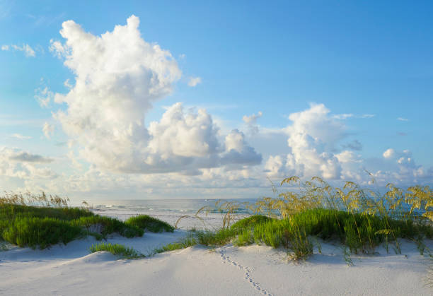 sonnenaufgang an einem wunderschönen weißen sandstrand an der golfküste floridas - spur fotos stock-fotos und bilder