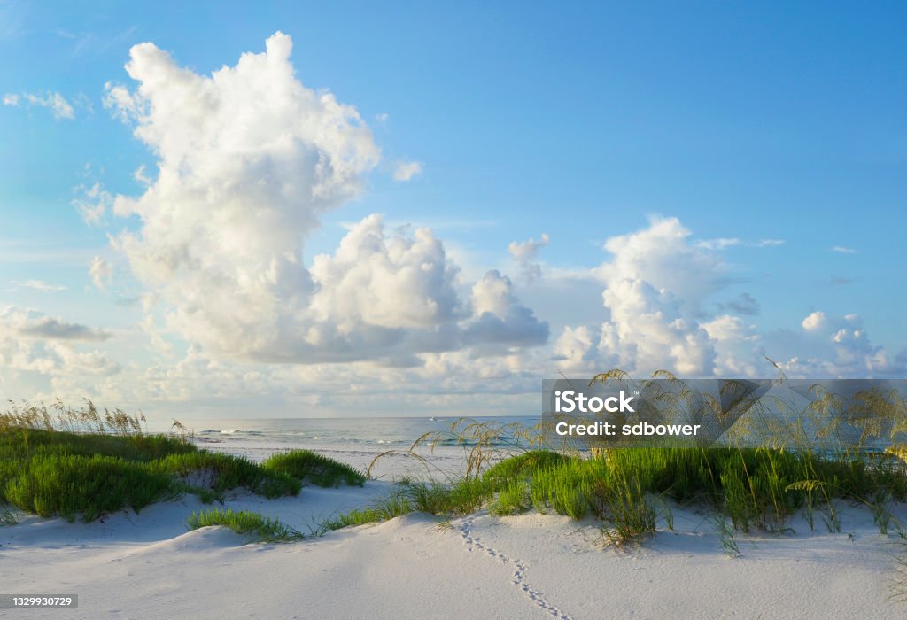 Sunrise on a Beautiful White Sand Beach on the Florida Gulf Coast Early Morning Light on a Beautiful White Sand Beach of the Florida Gulf Coast Beach Stock Photo