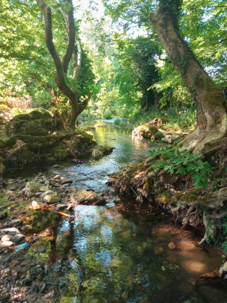 istock postcard landscape river trees and nature 1329936461