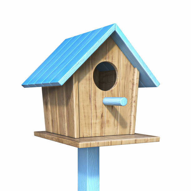 istock Birdhouse with blue roof 3D 1329937332
