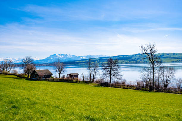 istock Landscape with lake and blue sky 1329938808