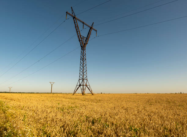 istock One large high-voltage pole in the middle of a wheat field. sky is blue 1329941898
