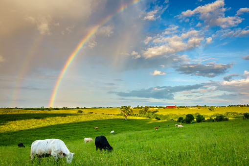 Scenic view of Central Kentucky countryside with double rainbow after storm